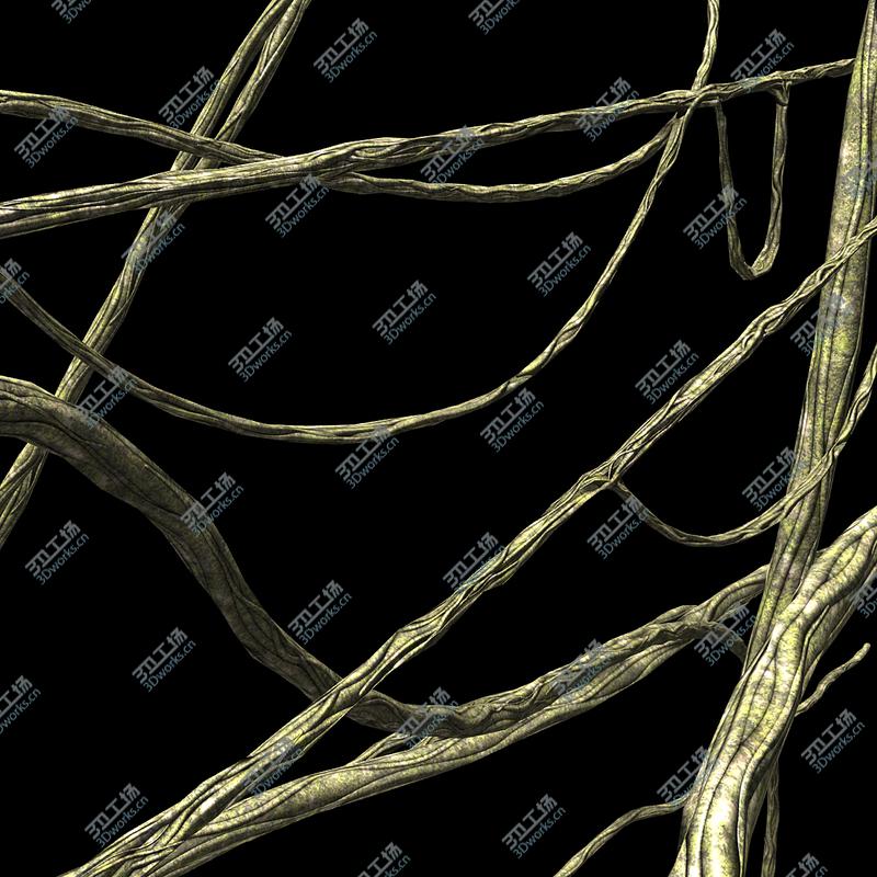 images/goods_img/202105072/Jungle Vines 3d model/2.jpg